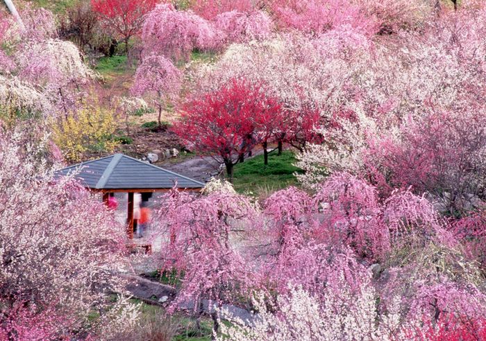 農業公園